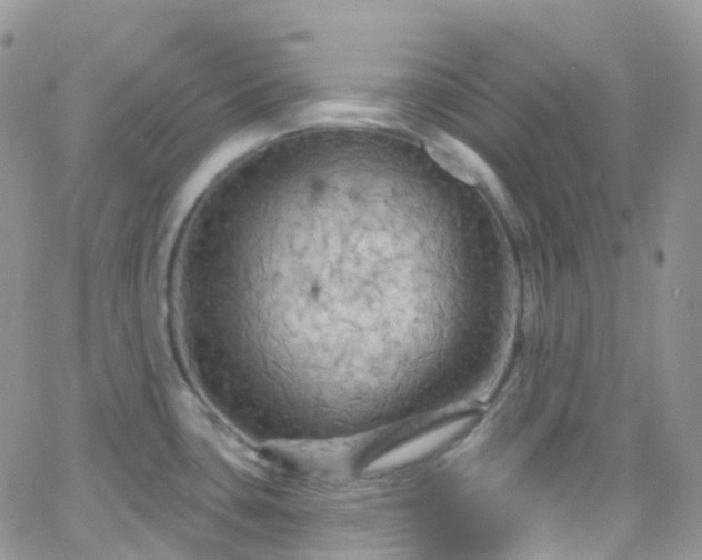 X0000066091435200603171044