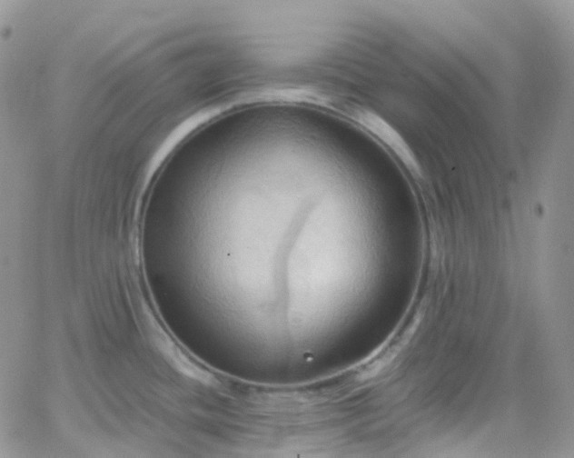 X0000066091436200603171044