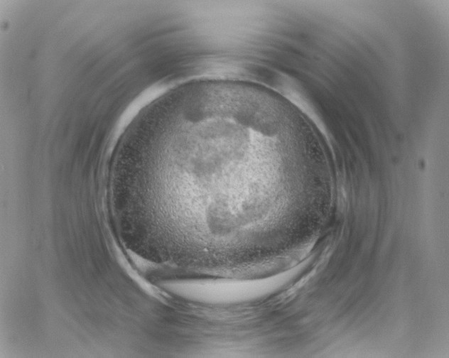 X0000066091437200603171044