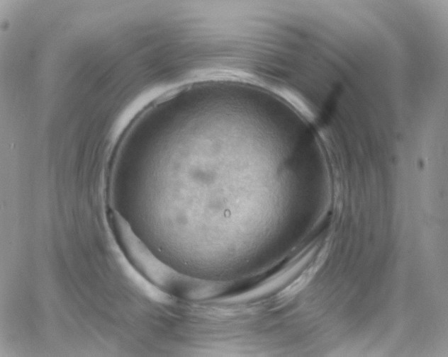 X0000066091438200603171044