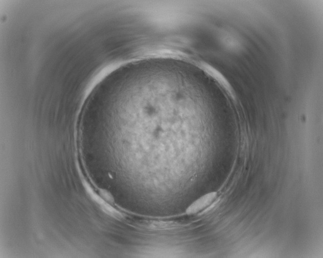 X0000066091439200603171044