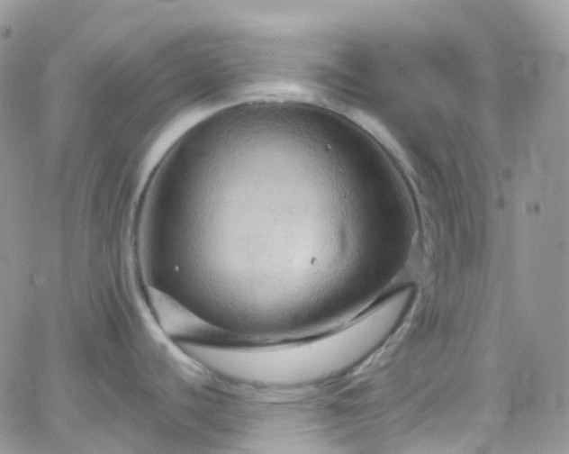 X0000066091440200603171044