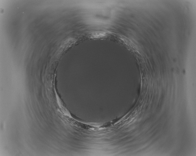 X0000066091441200603171044