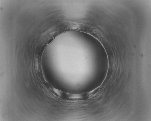 X0000066091442200603171044