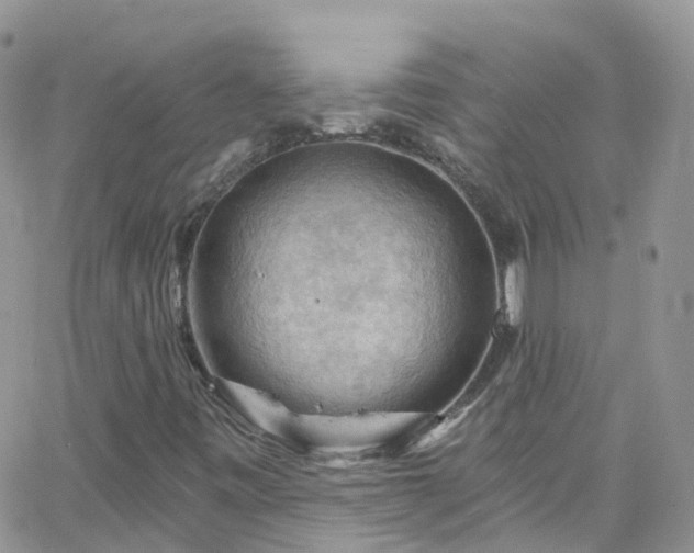 X0000066091443200603171043