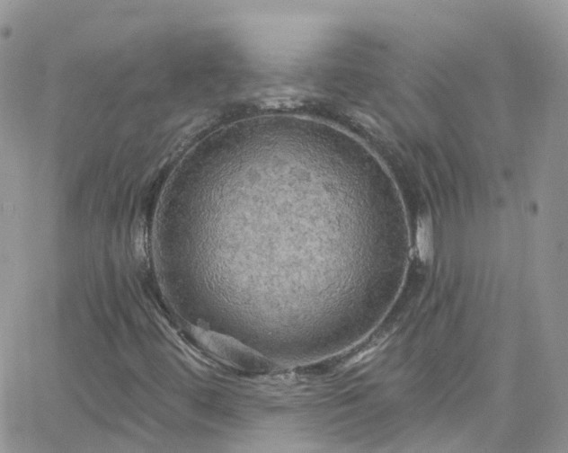 X0000066091444200603171043