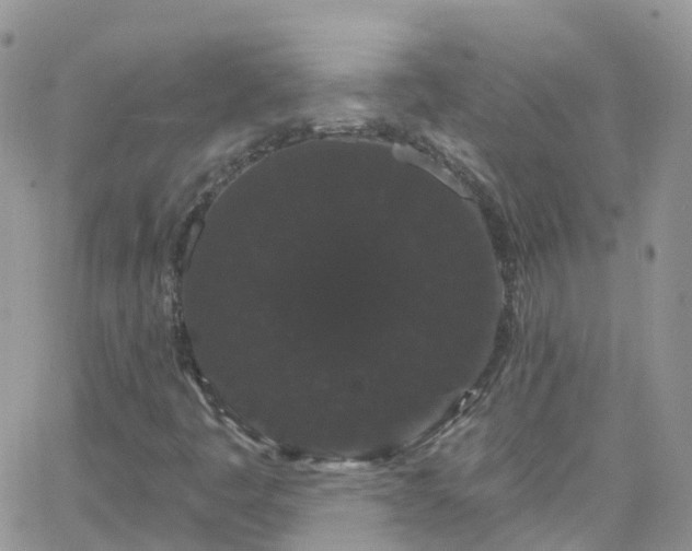 X0000066091445200603171043