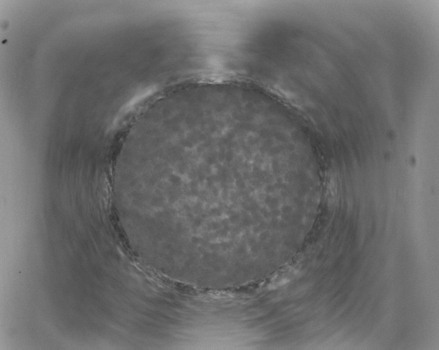 X0000066091446200603171043