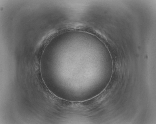 X0000066091447200603171043