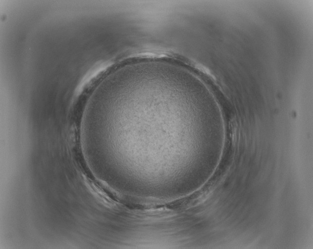 X0000066091448200603171043