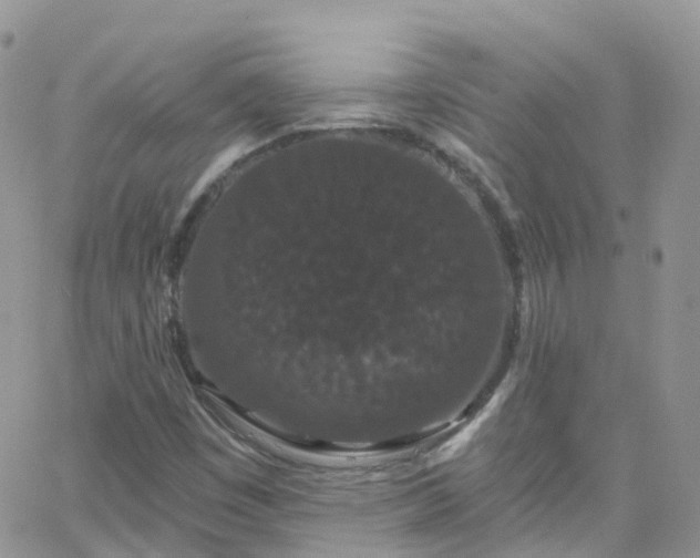 X0000066091449200603171043