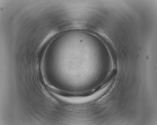 X0000066091450200603171043