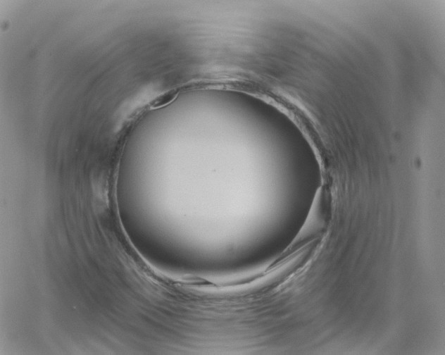 X0000066091451200603171043