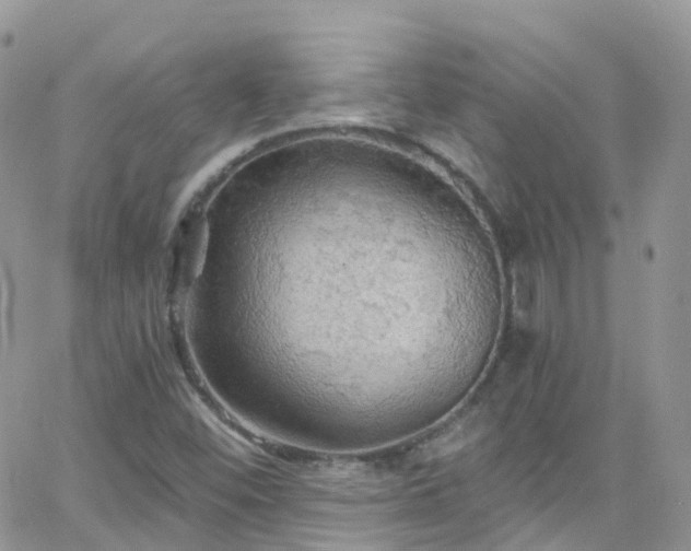 X0000066091452200603171043