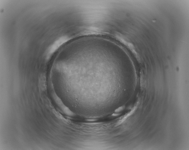 X0000066091453200603171043