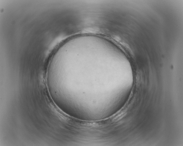 X0000066091454200603171043