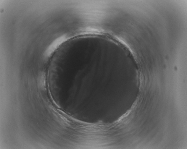 X0000066091455200603171043