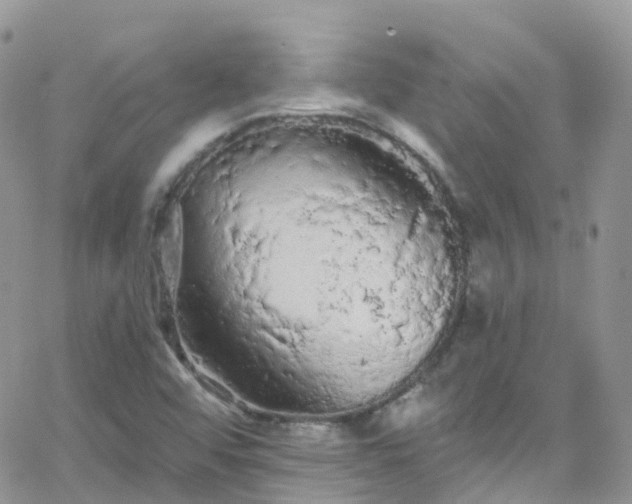 X0000066091456200603171043