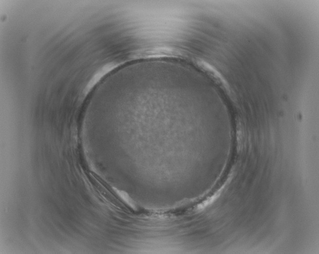 X0000066091457200603171043