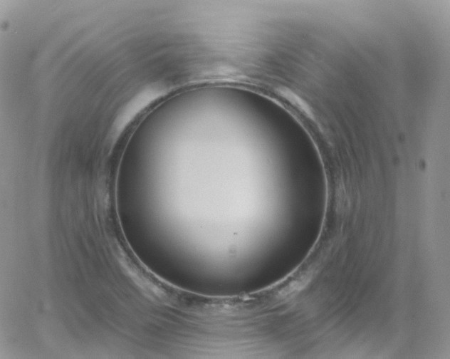 X0000066091458200603171043