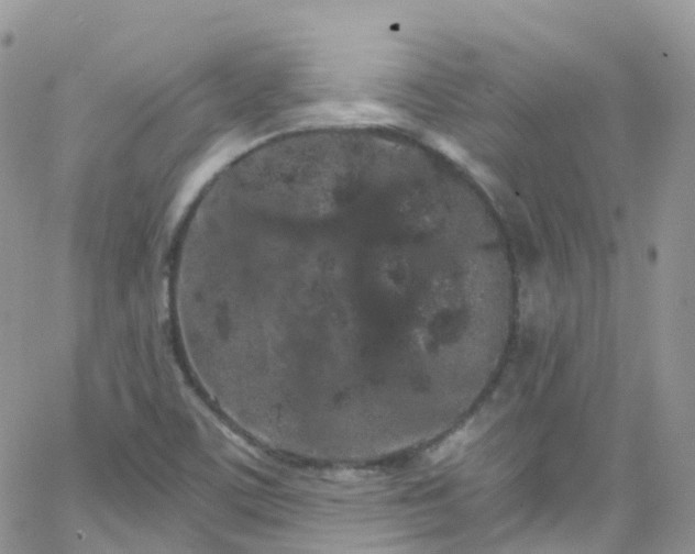 X0000066091459200603171043