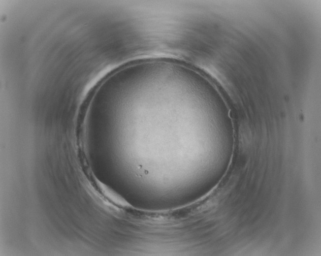 X0000066091460200603171043