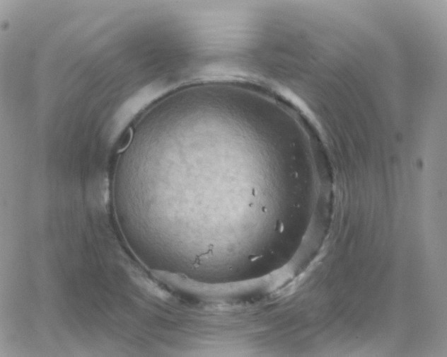 X0000066091461200603171043