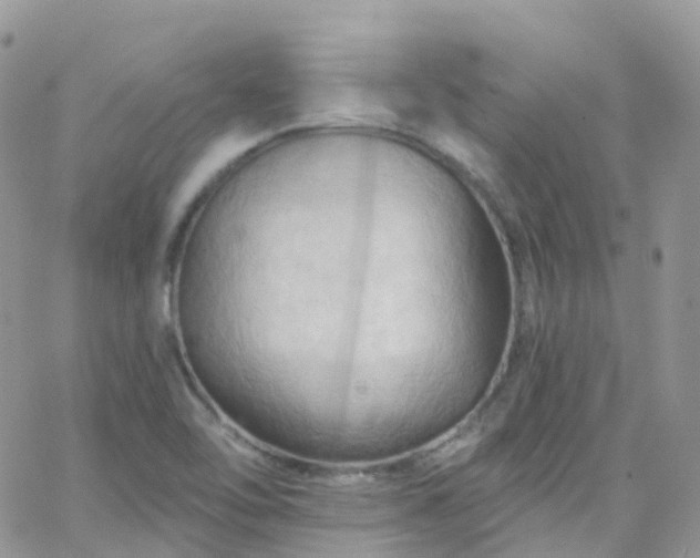 X0000066091462200603171043