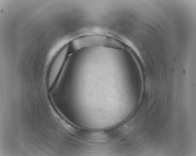 X0000066091464200603171043