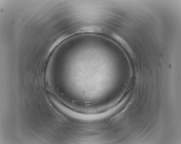 X0000066091465200603171043