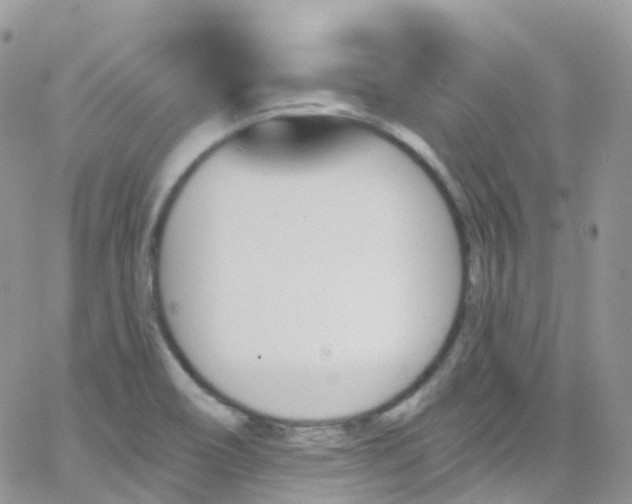 X0000066091466200603171043