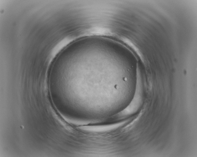 X0000066091469200603171043