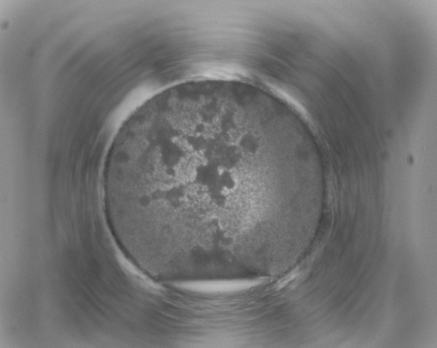 X0000066091471200603171043