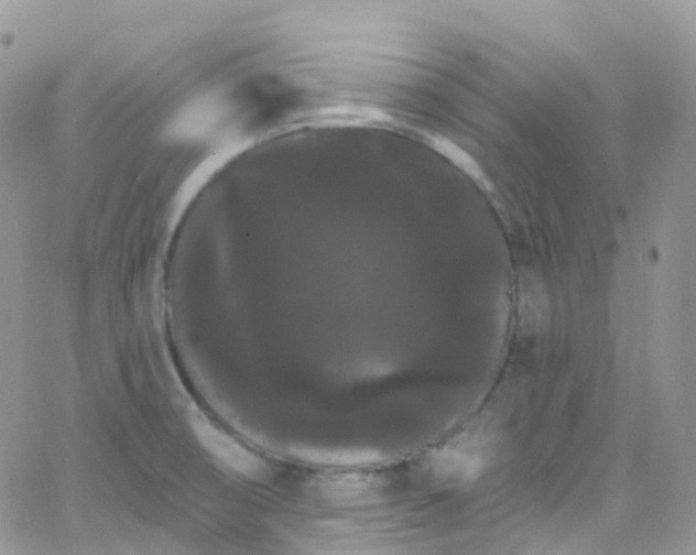 X0000066091474200603171043