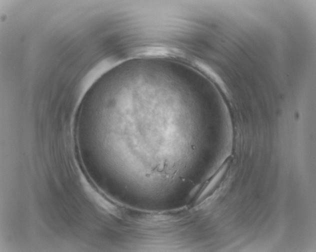 X0000066091475200603171043