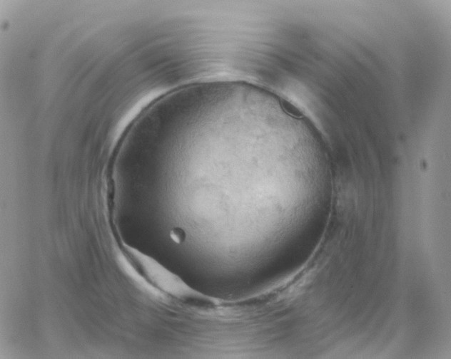 X0000066091476200603171043