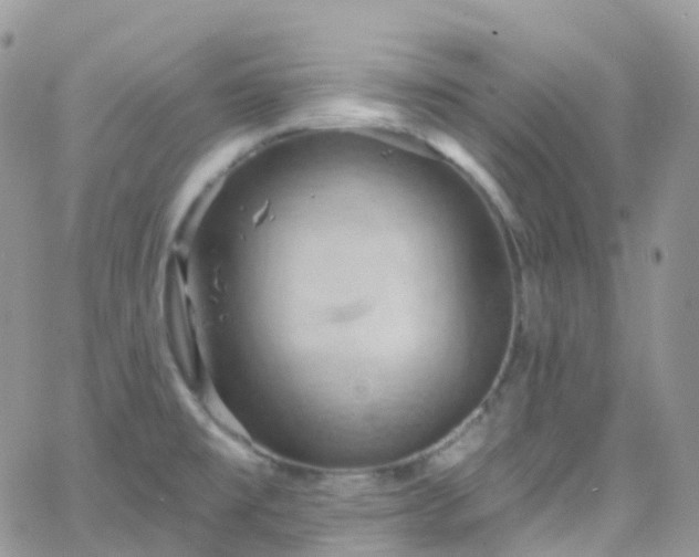 X0000066091477200603171043