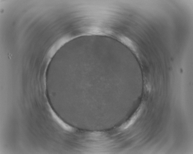 X0000066091479200603171043