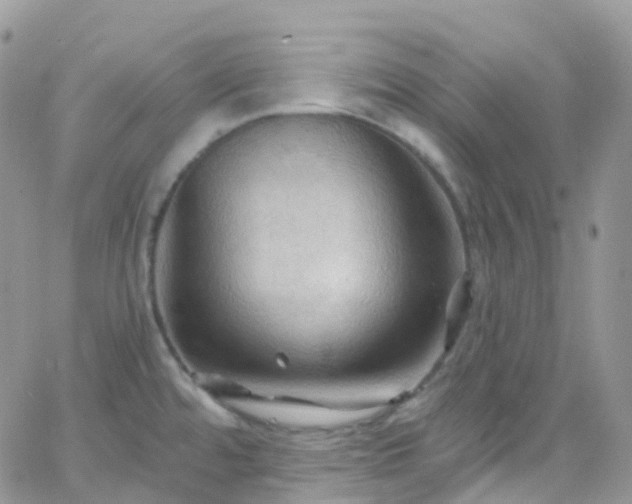 X0000066091480200603171043