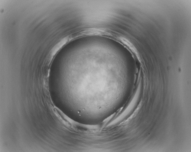 X0000066091481200603171043