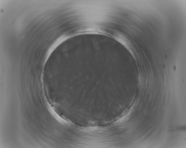 X0000066091482200603171043