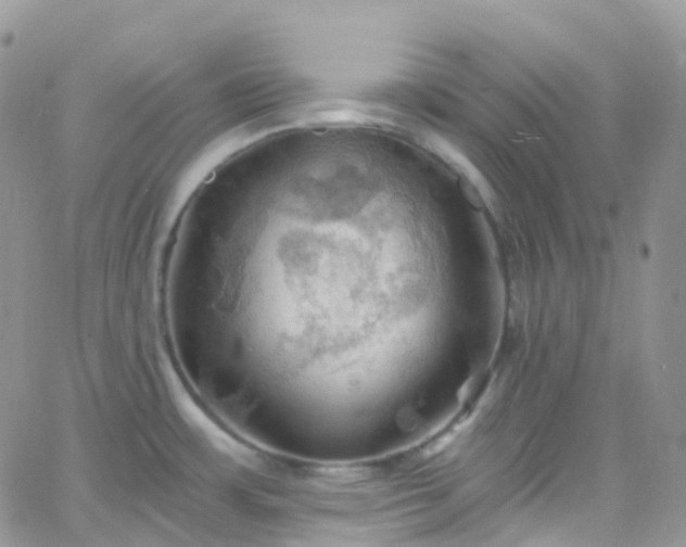 X0000066091483200603171043