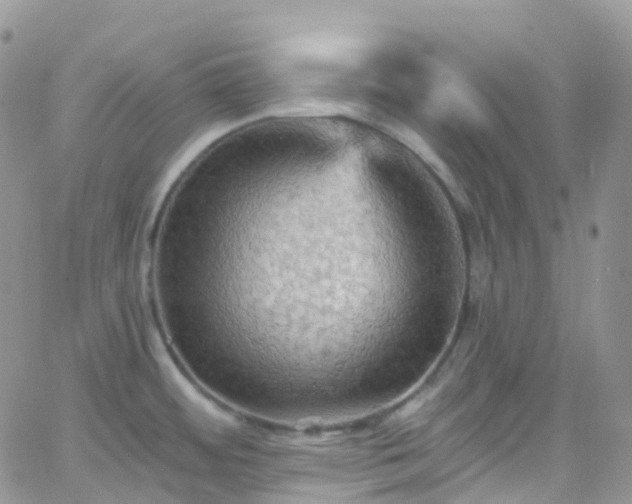 X0000066091484200603171043