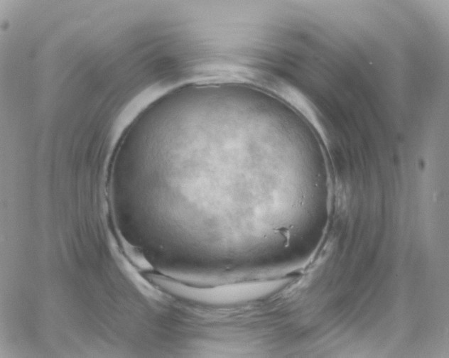 X0000066091485200603171043