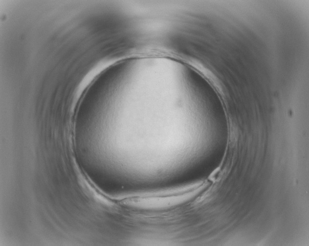 X0000066091486200603171043