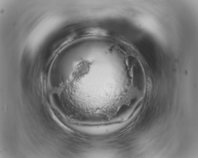 X0000066091487200603171043