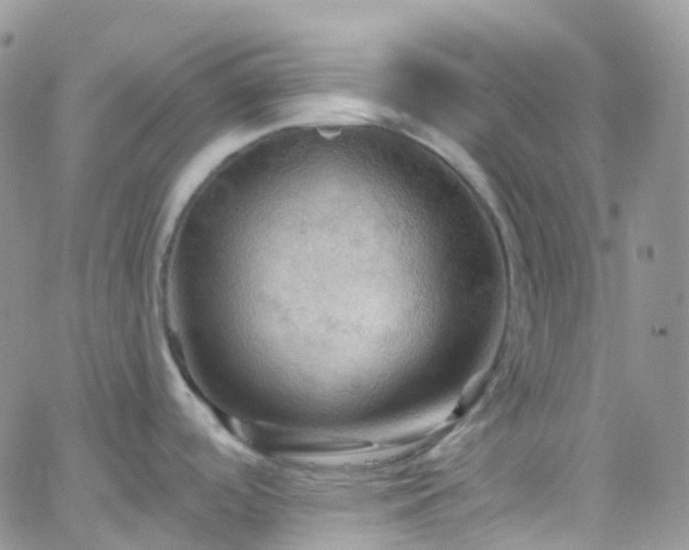 X0000066091488200603171043