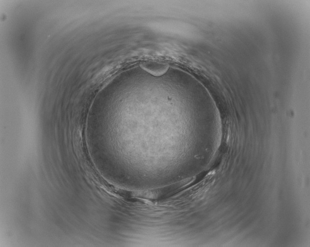 X0000066091489200603171042