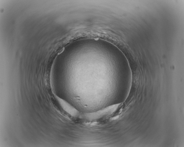 X0000066091490200603171042