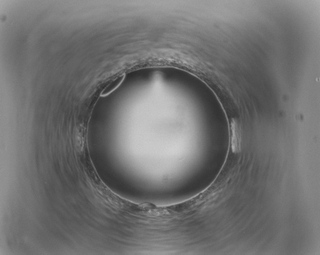 X0000066091491200603171042